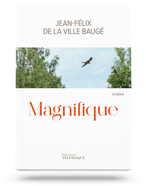 Magnifique, Jean-Félix de La Ville Baugé