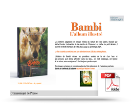 Télécharger le communiqué de presse de Bambi, l'album du film