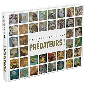 PRÉDATEURS !